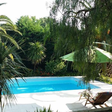 Casa Sestina - Gite Independant Dans Belle Propriete Avec Piscine Villa Canohès Dış mekan fotoğraf